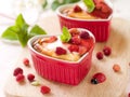 Cottage cheese souffle Royalty Free Stock Photo