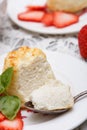 Cottage cheese souffle(casserole) Royalty Free Stock Photo