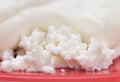 Cottage cheese with soured cream. Royalty Free Stock Photo