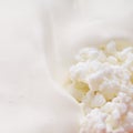 Cottage cheese with soured cream. Royalty Free Stock Photo