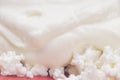 Cottage cheese with soured cream. Royalty Free Stock Photo