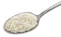 Cottage cheese in spoon isolated on white background Royalty Free Stock Photo