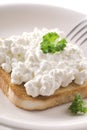 Cottage Cheese Toast