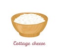 Cottage cheese in wooden bowl Isolated on white background. Vector illustration of curd Royalty Free Stock Photo