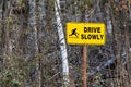 Cottage Country Road Sign Warns