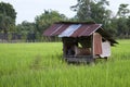 Cottage field