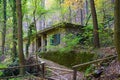 Hidden cottage in the forest