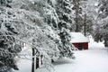 Cottage in the forest at winter in Sweden