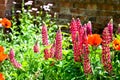 cottage garden detail