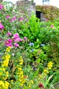 cottage garden detail Royalty Free Stock Photo