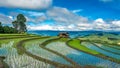 Cottage Green Terrace Rice Field With Mountain View