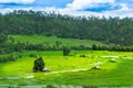 Cottage and green terraced rice field Royalty Free Stock Photo