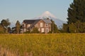 Cottage House and Osorno Volcano Royalty Free Stock Photo