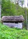 Primitive wood made cottage in forest