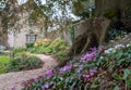 Cottage in its own ground, in the rural Somerset town of Bruton, UK. Royalty Free Stock Photo