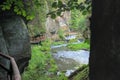 Cottage by Kamenice river in Soutesky valley in National park Czech Switzerland near Hrensko village in spring sunset on 03rd June