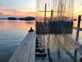 Cottage on the lake and tool catch fish.