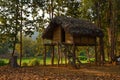 A cottage in the middle of forest made of bamboo .Tree house Royalty Free Stock Photo