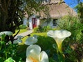 Traditional Irish Cottages, Bettystown, County Meath