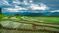 Cottage Rice Field Mountain View