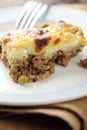 Cottage pie Royalty Free Stock Photo