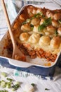 Cottage pie in the baking dish closeup. vertical Royalty Free Stock Photo