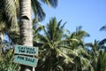 Cottage for rent sign palm trees