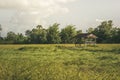 Cottage rice field Evening sun light