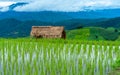 Cottage Rice Field Mountain Background