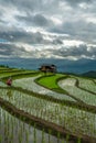 Cottage Rice Field Mountain View