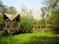 Cottage in thai jungle Royalty Free Stock Photo