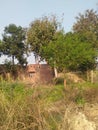 A cottage under the big trees in India