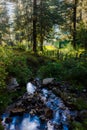 Cottage, waterfall in beautiful forest Royalty Free Stock Photo