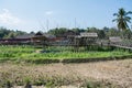 Cottage and wooden walkways in rice field at Sila Laeng, Pua Dis Royalty Free Stock Photo