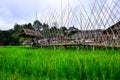 Cottage and wooden walkways in rice field at Sila Laeng, Pua District, Nan Royalty Free Stock Photo