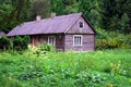 Cottage in the woods