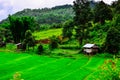 The cottages are in thr rice terraces at Ban Huwi Hom , Ban Chan , Mae Cheam , Chiang Mai Royalty Free Stock Photo