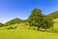 Cottanello meadows area. Rieti