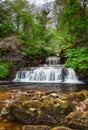 Cotter Force portrait