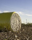Cotton bale - vertical Royalty Free Stock Photo