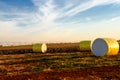 Cotton bales on a harvested land Royalty Free Stock Photo