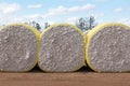 Cotton Bales waiting to be processed in the Gin Royalty Free Stock Photo