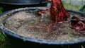 Cotton being dyed manually in process of making Indonesian Batik