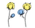 Cotton blue-yellow flower, Bavovna floral branch,fiber of plant origin.Symbol of Ukraine\'s military Royalty Free Stock Photo