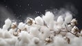 Cotton Bolls on White Textile Background