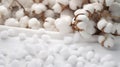 Cotton Bolls on White Textile Background