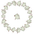 Cotton bolls wreath; round frame with cotton plants.