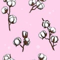 Cotton branches seamless pattern