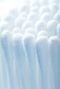 Cotton Buds Royalty Free Stock Photo