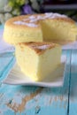 Cotton Cheese Cake Royalty Free Stock Photo